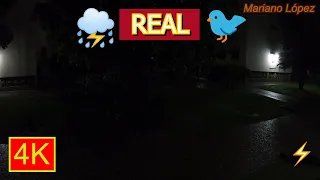 4K - BIRDS CHIRPING 🐤 and SOFT RAIN for SLEEPING 😴 (soft thunder) - Relaxing nature sounds - ⛈️REAL🌟