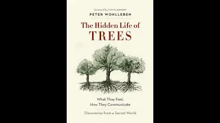 The Hidden Life of Trees by Peter Wohlleben | Summary