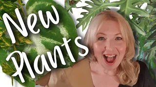 HOUSEPLANT HAUL: Unboxing Rare and Common Wishlist Houseplants!