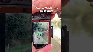 Canon EF-M 18-150mm Zoom Lens on Canon M6 Mark ii POV #shorts