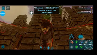 how find griffin doesn't respect you ark survival evolved mobile