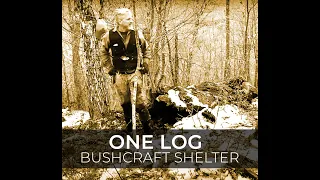 Bushcraft shelter made from a single log #shorts