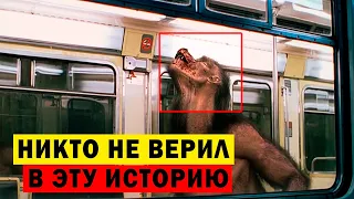 ЖУТКАЯ СЕНСАЦИЯ В ЕГИПТЕ! ВНУТРИ МУМИИ СТРШНОЕ!