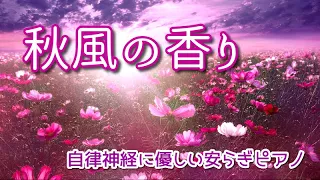 【自律神経に優しい音楽】《 秋風の香り 》 穏やかに心安らぐピアノソロ曲集