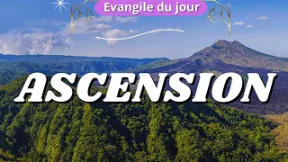 Evangile et Parole du jour Jeudi 9 mai Ascension - Année B