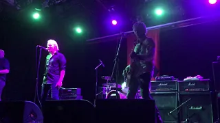 Radio Birdman - New Race (live)