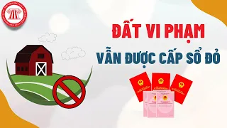 Đất Vi Phạm Vẫn Có Thể Được Cấp Sổ Đỏ | PHÁP LÝ ĐẤT ĐAI | TVPL