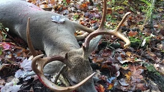 BUCKTOBER!  A Great Pennsylvania Archery Whitetail Taken on Halloween 2016