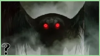 What If The Mothman Was Real?