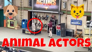 Universal’s Animal Actors Full Show at Universal Studios Hollywood Theme Park California Los Angeles