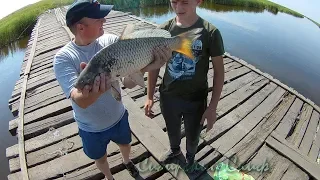 Сибирский странник. СЕКРЕТНЫЙ МОСТ