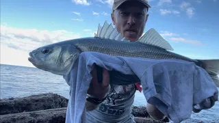 Bass fishing Uk Shore INSANE action!