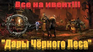 Событие "Дары черного леса" в TESO !!! (Устарело)