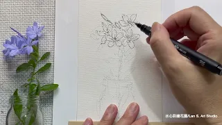 【 Lan S.Art Studio 水心彩繪花園】院子裡的藍雪花素寫