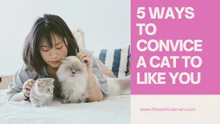 What are the 5 ways to convince an aloof cat to like you!