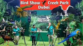Bird Show 🦅 Creek Park Dubai || Best Places For Kids🧒||
