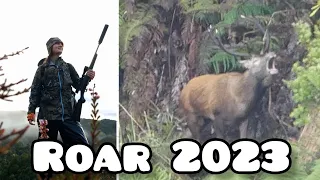 Our Roar Trip Of 2023! Hunting Reds New Zealand