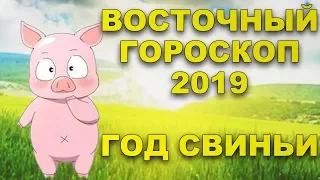 Восточный гороскоп на 2019 год. Год Свиньи.