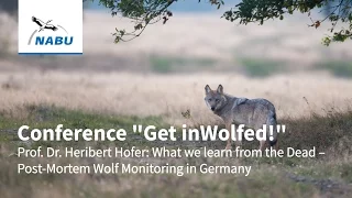 Prof. Dr. Heribert Hofer: What we learn from the Dead - Post-Mortem  Wolf Monitoring in Germany