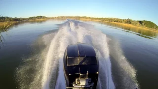 The Silver Bullet - 200 HP Mercury Black Max