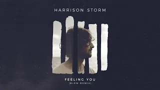 Harrison Storm | Feeling You [BLEM Remix] (Official Audio)