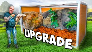 Albino Tegu Lizard Gets Huge Cage Upgrade!