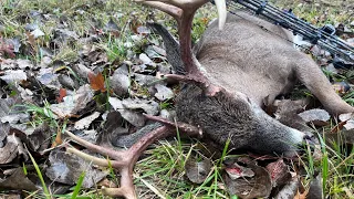 New York Buck kill October 28th 2023
