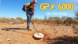 Deep Aussie Gold Ep 4 | GPX 6000 is UNBELIEVABLE