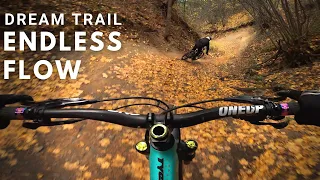Dream MTB Trail! Best riding day of the year