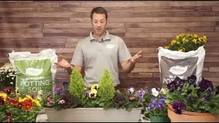 How to Use Pansies in Containers