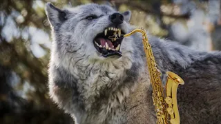 How to GROWL on the Saxophone! (the easy way)