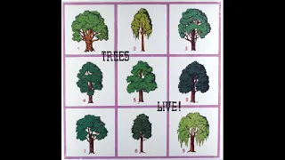 Trees - Forest Fire