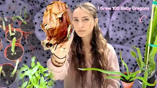 I Grew 100 Baby Dragons From 1 Old And Moldy Dragonfruit