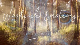 WOODCOCK EMOTIONS- EP2 ,BACIATA DALLA FORTUNA  ,CACCIA ALLA BECCACCIA BRETON SETTER