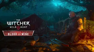 The Witcher 3  Wild Hunt EXTENDED OST  - Toussaint | Cave Ambient | Blood and Wine