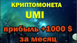 Прибыль +1000$ за месяц на монете UMI.