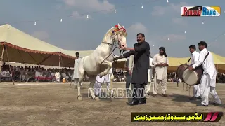Peer Papoo Qurashi Slected Horse Dance l Pakistan Horse Dnace l Horse l Punjab Horse Dance l 013