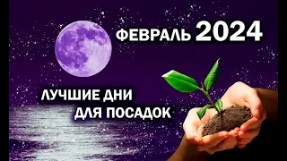 ЛУННЫЙ КАЛЕНДАРЬ ОГОРОДНИКА. ФЕВРАЛЬ 2024.