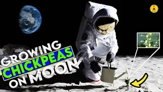 The Key to Colonizing the Moon! The Plan to Grow Food There | Space-Time