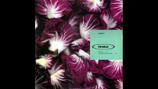 Orbital - Halcyon On And On (1992)