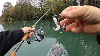This SECRET Beetle Spin Rig is a Fish Catching Machine!!!!
