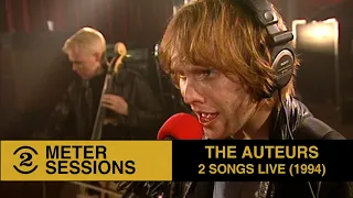 The Auteurs - 2 songs live on 2 Meter Sessions (1994)