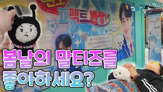 [캐럿로그💎] 봄날의 말티즈를 좋아하세요? 물론 좋아합니다 | 밍족대명절 | 밍사랑산악회 | 팔프의 비밀 | 민규 생일카페 | 민규 생카 | 캐럿 일상