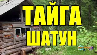 ТАЙГА | ШАТУН | ТАЕЖНЫЕ РАССКАЗЫ