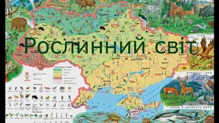 Зона мішаних лісів України.8 клас