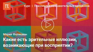 Основные феномены восприятия — Мария Фаликман