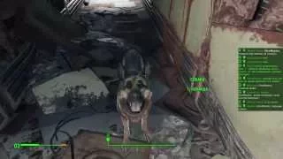 Собака-грузчик в Fallout 4
