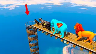Superman Elephant, Chop, Batman Cow and Tiger dive into the water through a Pipe ( GTA 5 )