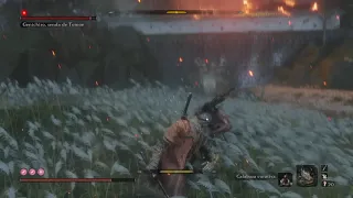 Sekiro final boss phase 1 tips A