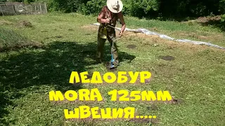 ТЫКВА...сажаю по целине